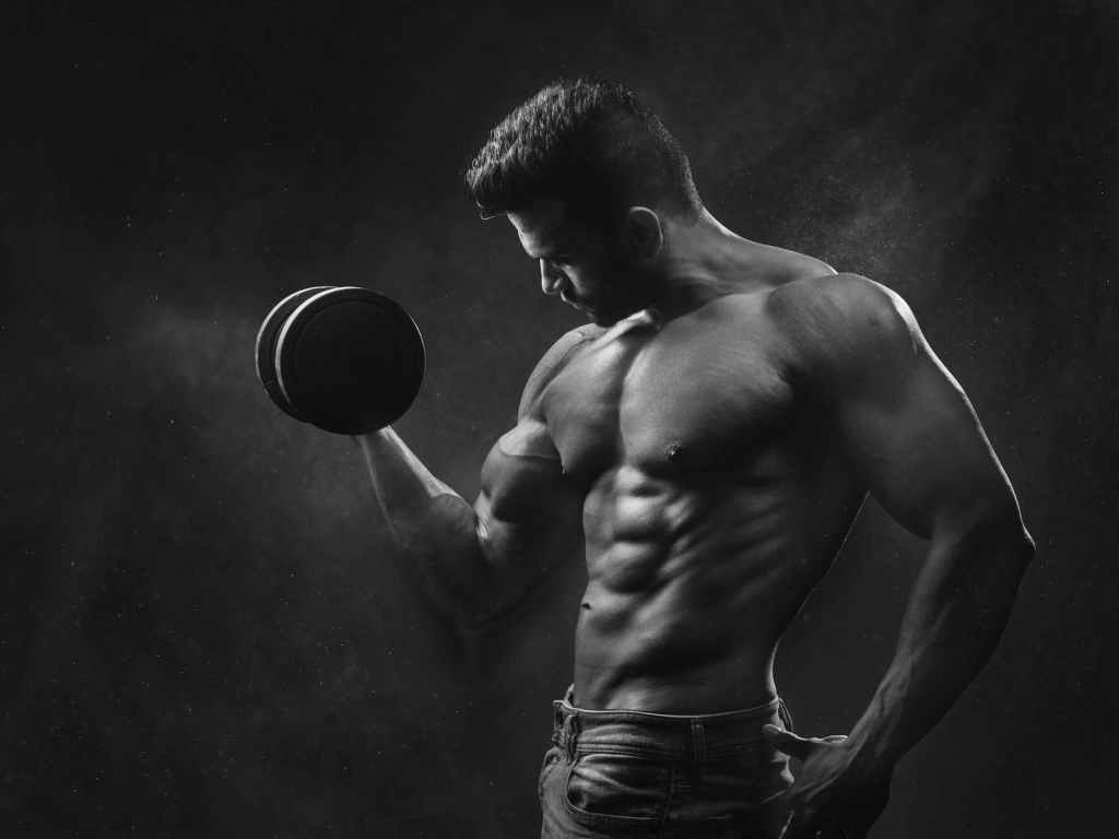 What are the 4 types of bodybuilding?